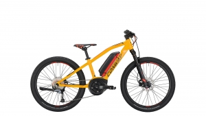 CONWAY electro fietsen eMS 240 Mod. 20