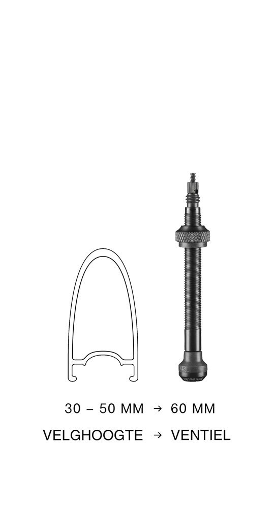 Valve Schwalbe TUBELESS 60MM Kit 2 valves