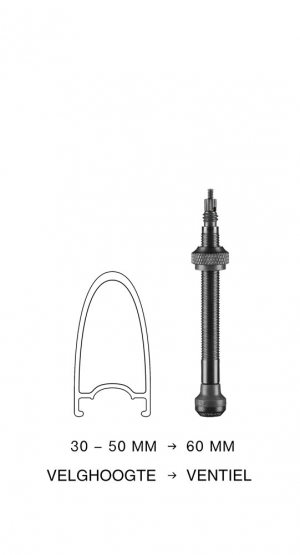 Valve Schwalbe TUBELESS 60MM Kit 2 valves