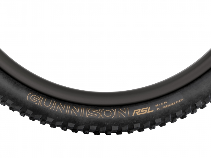 Bontrager pneu Gunnison RSL XT 29 x 2.4 TLR B
