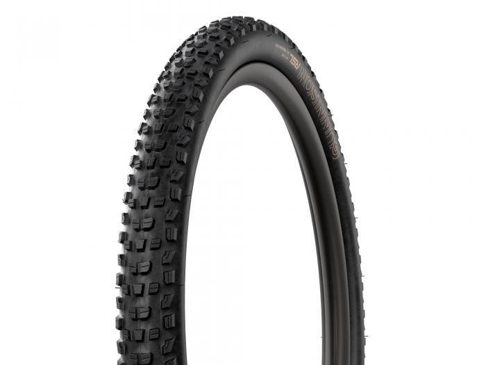 Bontrager pneu Gunnison RSL XT 29 x 2.4 TLR B