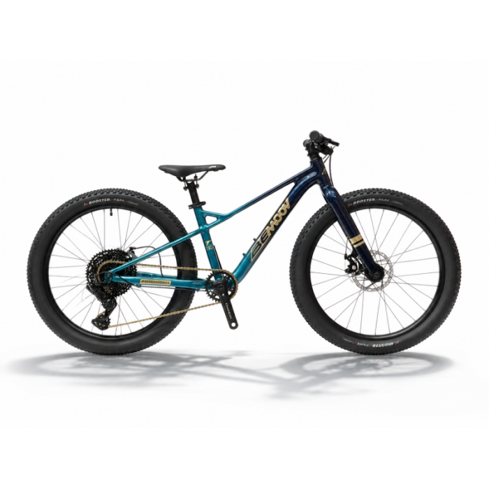 Bemoov T24 Turquoise 24"